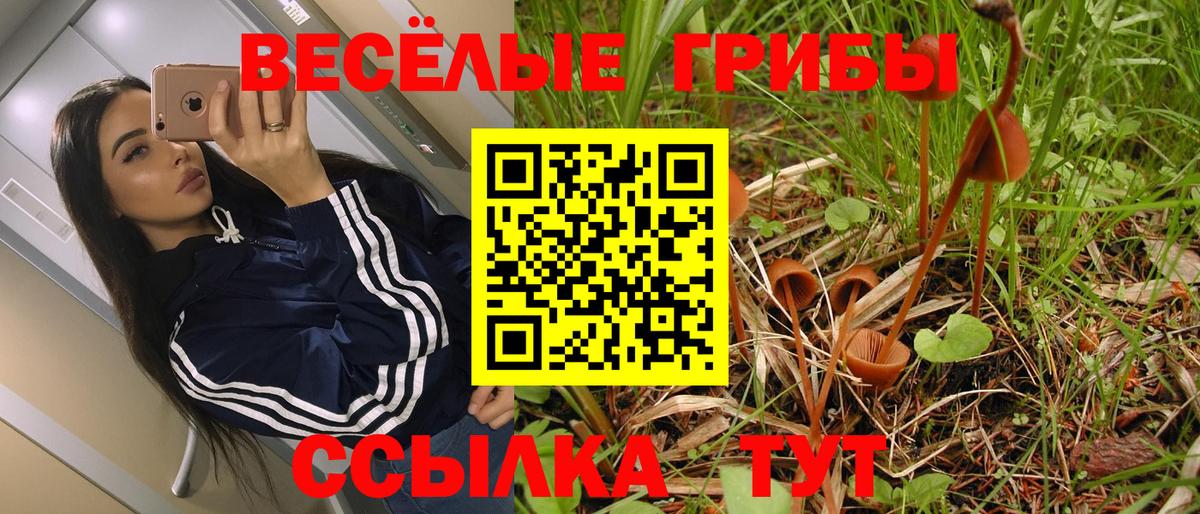 Псилоцибиновые грибы мицелий Тобольск